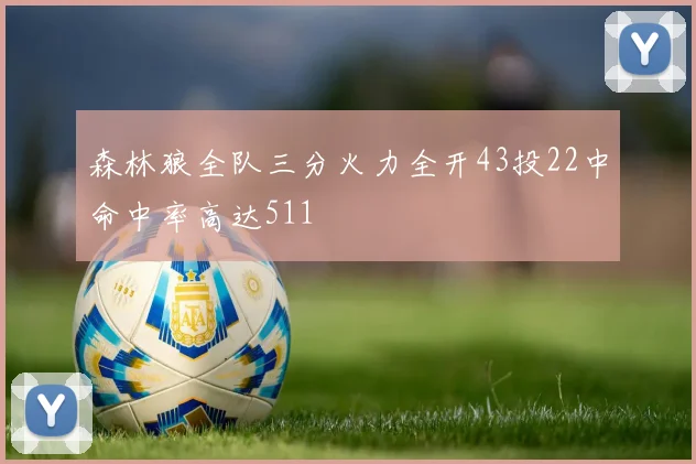 森林狼全队三分火力全开43投22中命中率高达511