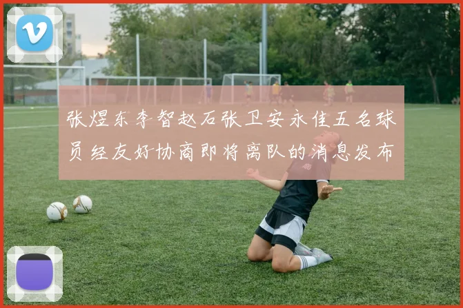 张煜东李智赵石张卫安永佳五名球员经友好协商即将离队的消息发布