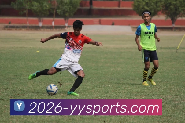 易游体育平台生态图